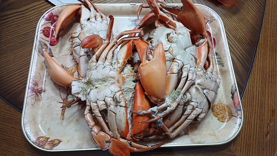 부산 청게_4.jpg
