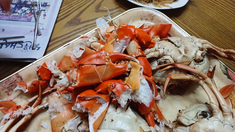 부산 청게_5.jpg