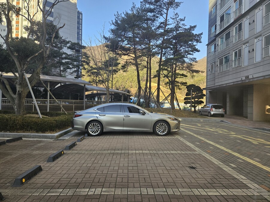 장문주의) 전세집 보고왔는데 결정장애 도움!!!_2.jpg