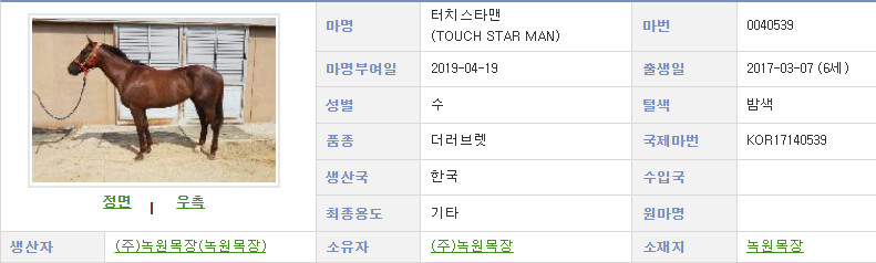 제주도 목장) 지난 달에 만나고 왔던 휴양 경주마가 은퇴함._2.png