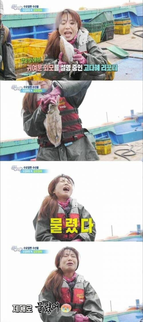 오징어한테 물려서 복수한 리포터.jpg_1.jpg