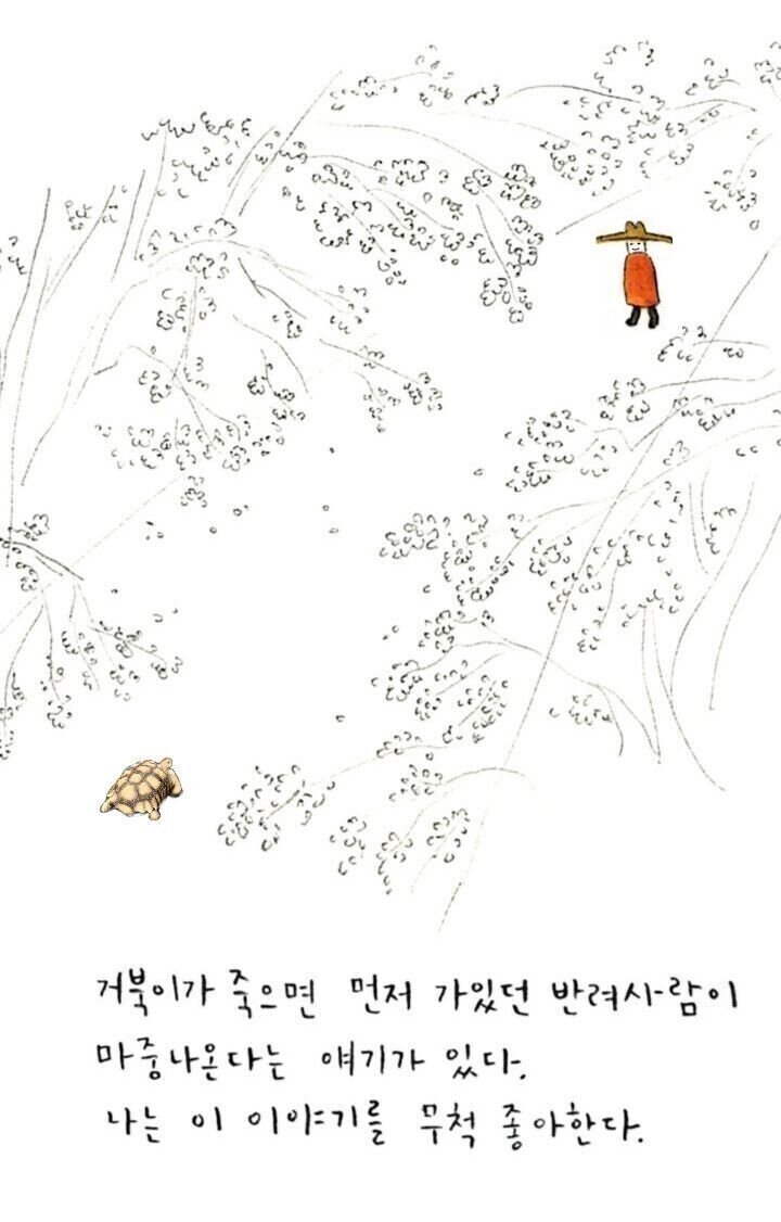 사람이 죽으면 먼저 가 있던 반려동물이 마중나온다. 하지만...jpg_2.jpg