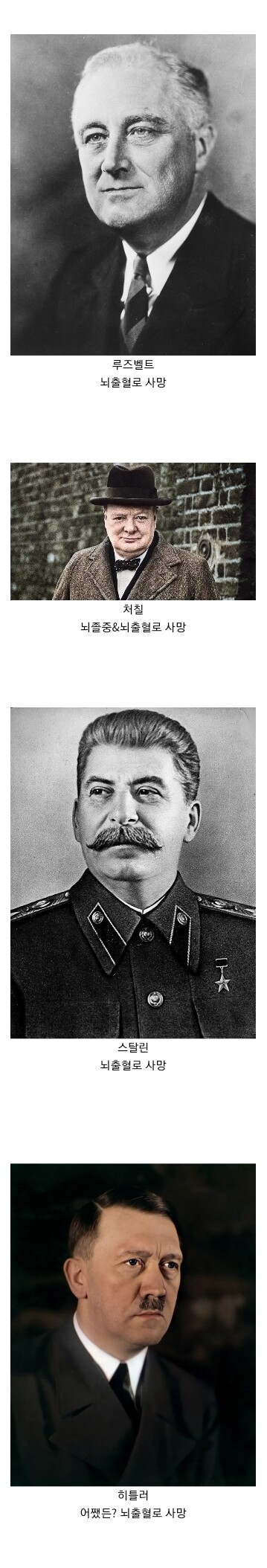2차 세계대전 지도자들 사망 이유.jpg_1.jpg
