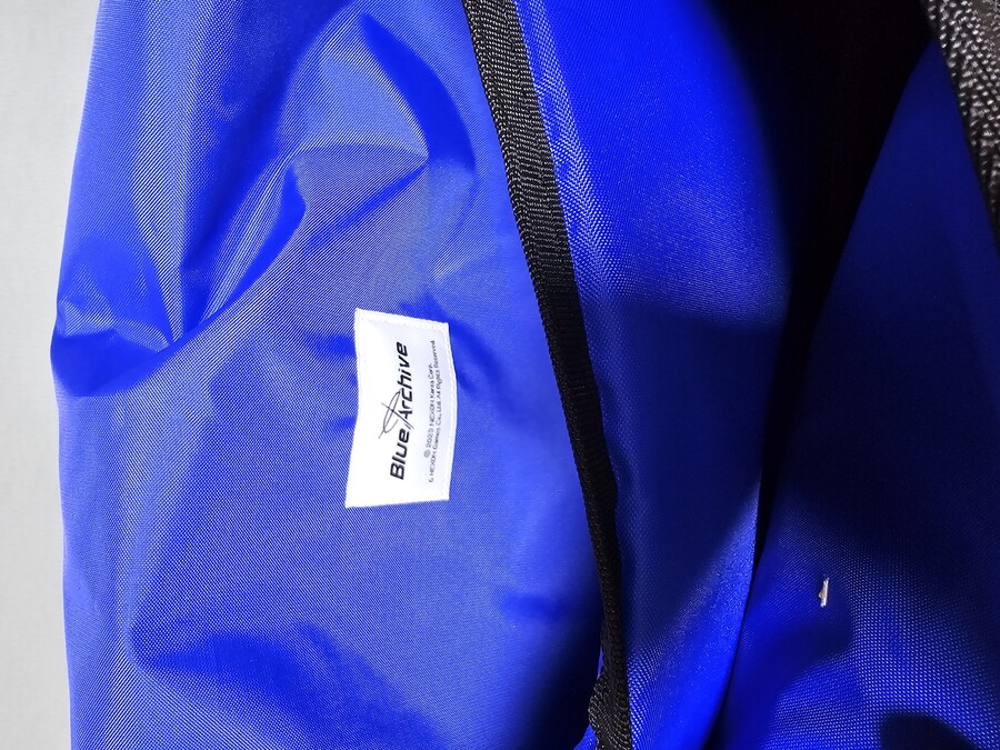 [블루아카] 메신저 백 도착_3.jpg