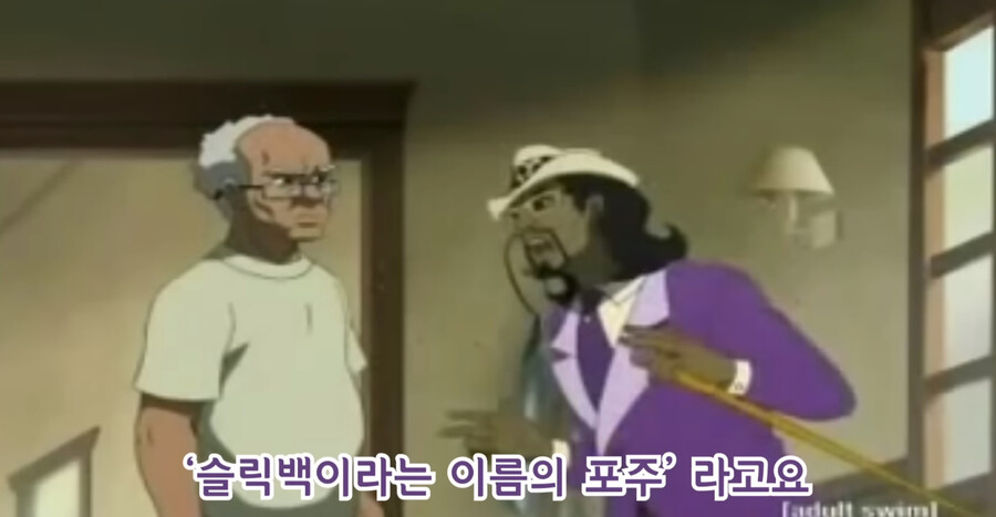 슬릭백 챌린지로 유명한 슬릭백송의 정체_6.jpg