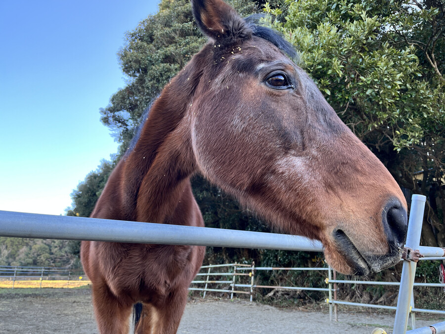 말딸)원본) 하루 우라라 근황_2.jpg