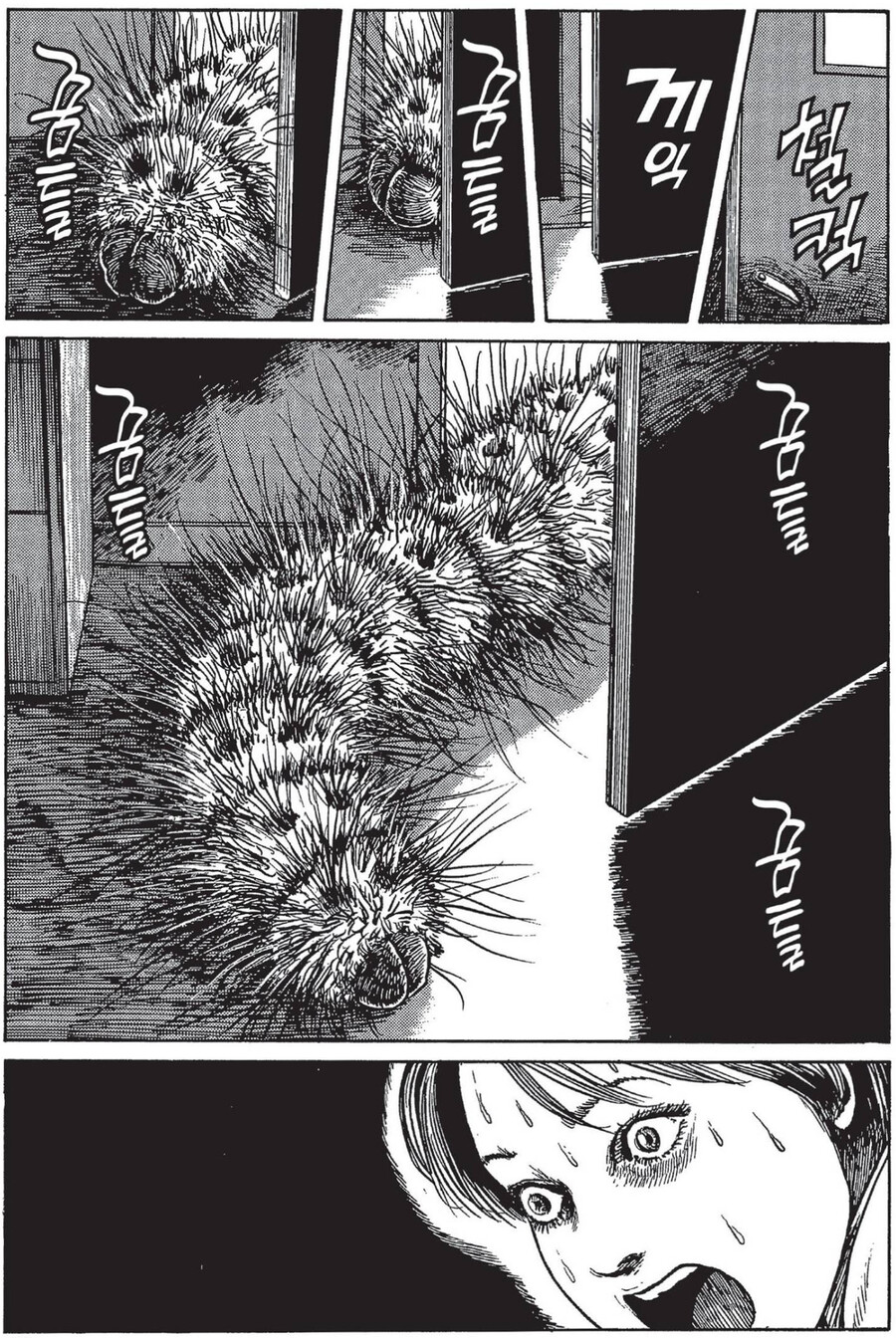 벌레가 무서워서 기억상실 걸린 여자.manhwa_2.png