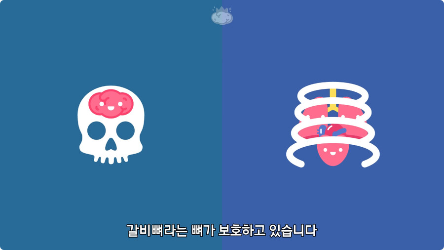 고환을 맞으면 많이 아픈 이유.jpg_4.jpg