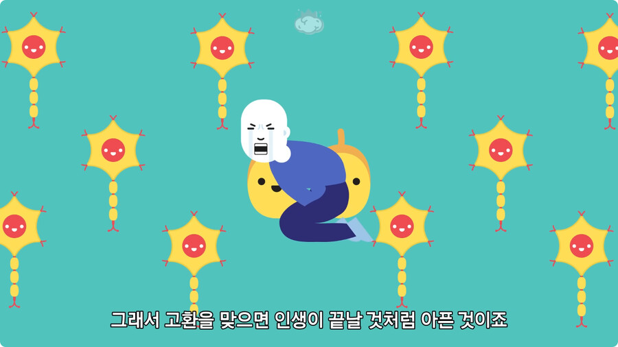 고환을 맞으면 많이 아픈 이유.jpg_12.jpg