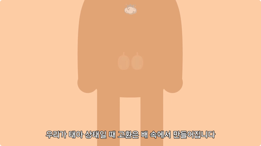 고환을 맞으면 많이 아픈 이유.jpg_13.jpg