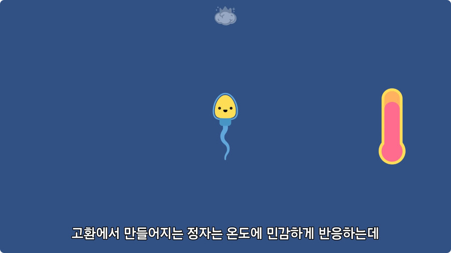 고환을 맞으면 많이 아픈 이유.jpg_23.jpg