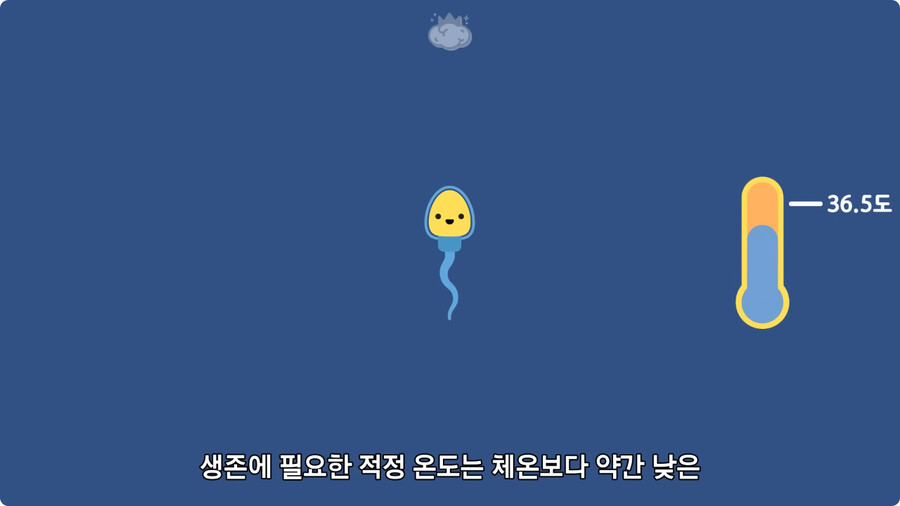 고환을 맞으면 많이 아픈 이유.jpg_24.jpg