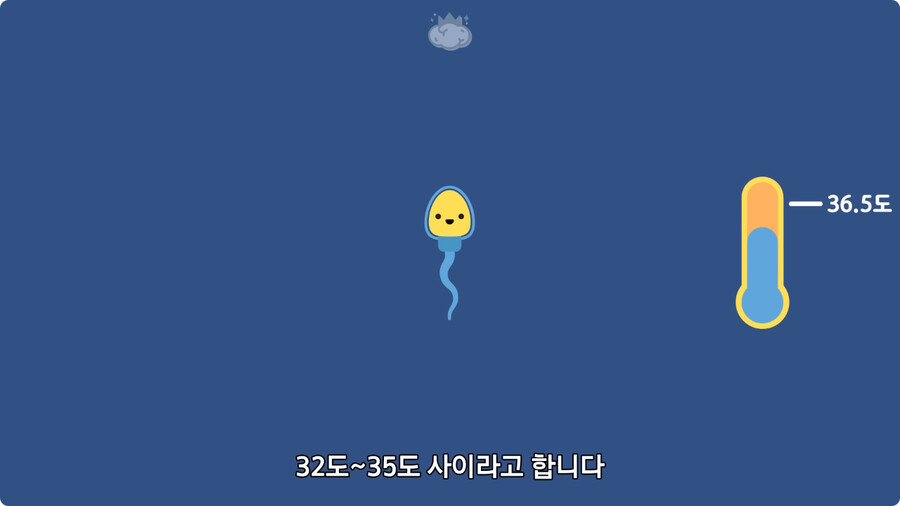 고환을 맞으면 많이 아픈 이유.jpg_25.jpg