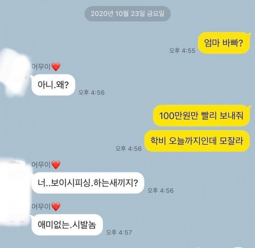 절대 보이스피싱에 낚이지 않는 어머님 유머 게시판