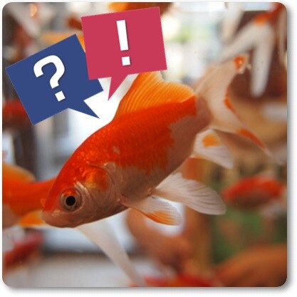 의외로 귀여운 거_2.jpg