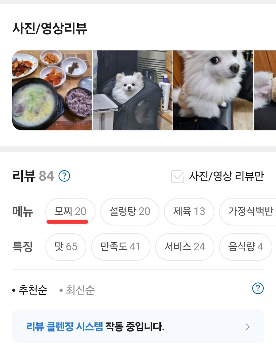 혼밥하면 옆에 강아지가 있어준다는 식당의 특이점.jpg_2.jpg