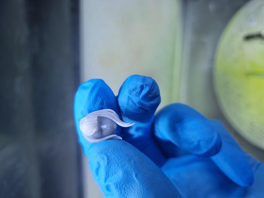 도색) 진짜 어렵다..._1.jpg