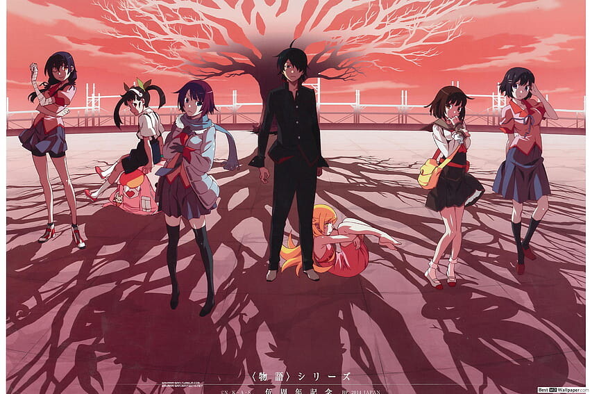 바케모노카타리, 사춘기라는 괴이한 폭풍_6.jpg