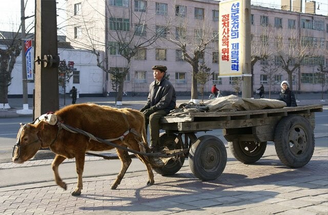 기동훈련 준비에 들어간 북한 보급부대ㄷㄷ.jpg_2.jpg