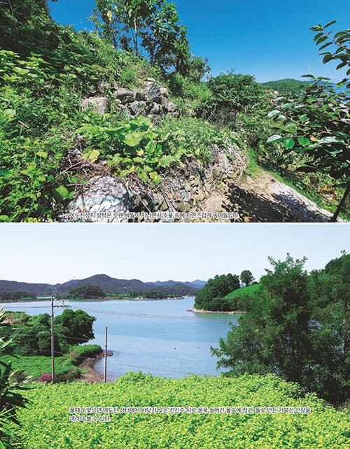 [이순신]의 바다, 조선 수군의 탄생 (추가)_7.jpg