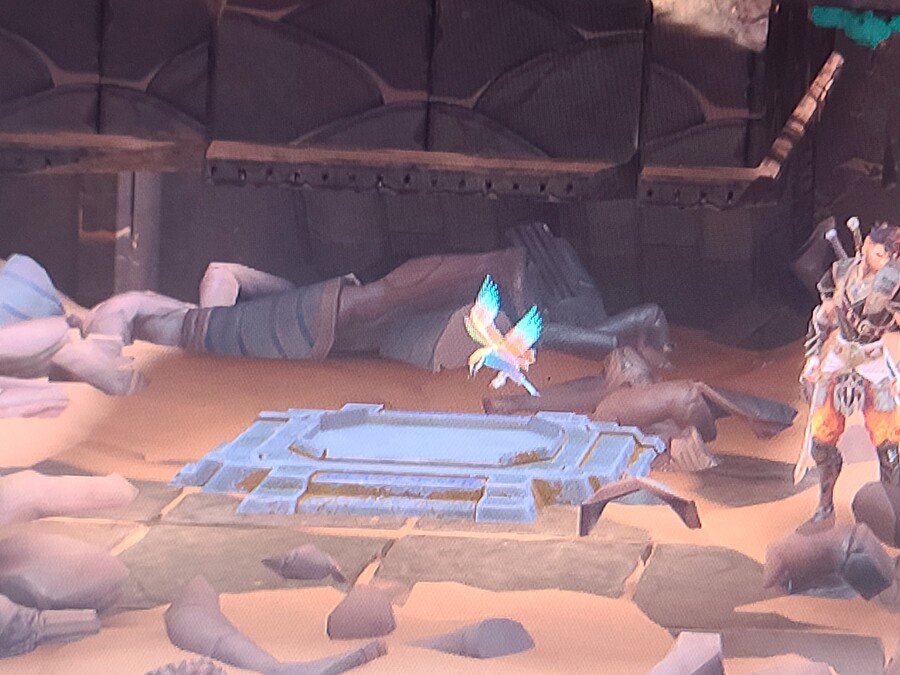 새가 가르키는 부위 정체 아시는분_1.jpg