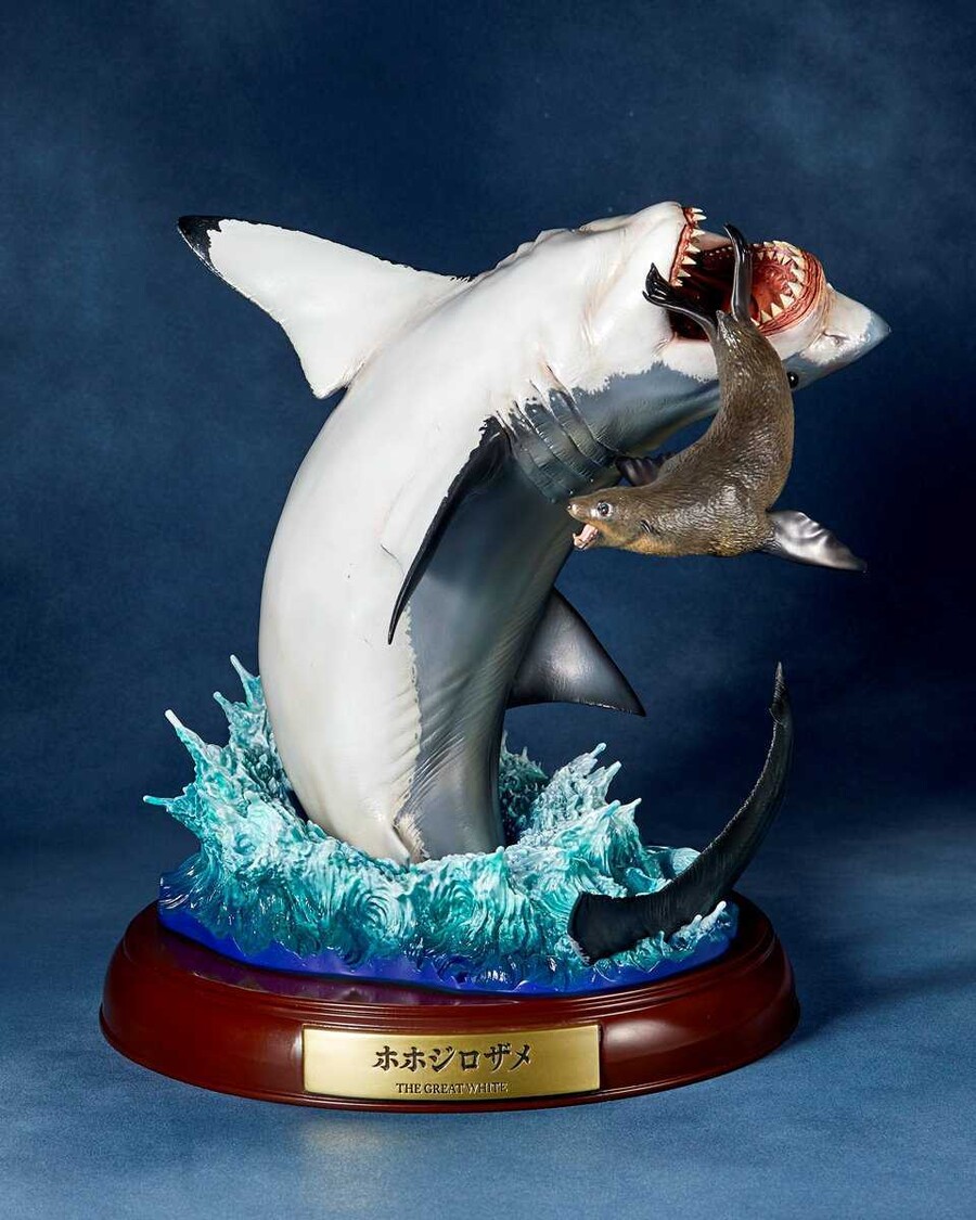 [카이요도] Nature Tales 백상아리_2.jpg