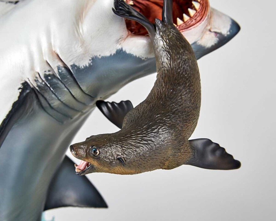 [카이요도] Nature Tales 백상아리_8.jpg