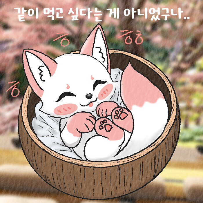 (여우찻집)예쁜 여우 보구가용 여우찻집 82 | 유머 게시판 (여우찻집)예쁜 여우 보구가용 여우찻집 82 | 유머 게시판 | 루리웹