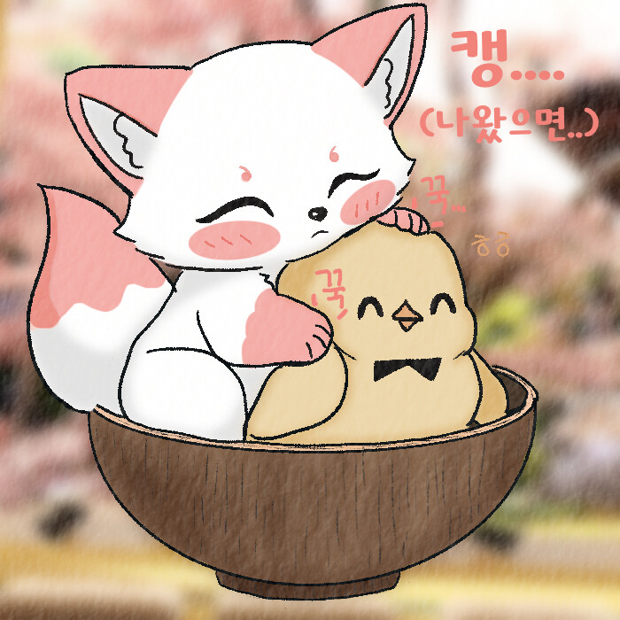 (여우찻집)예쁜 여우 보구가!! 여우찻집 82 | 유머 게시판 (여우찻집)예쁜 여우 보구가!! 여우찻집 82 | 유머 게시판 | 루리웹