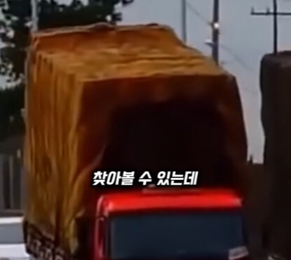 브라질의 독특한 트럭 문화.jpg_15.jpg