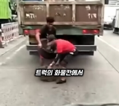 브라질의 독특한 트럭 문화.jpg_25.jpg