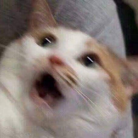 [DMMVV]본계 부계 가챠_1.jpg