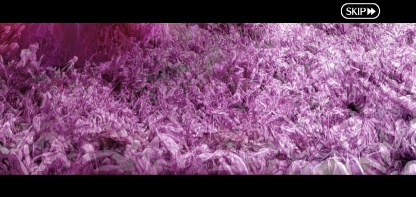 페그오)어제 공개된 스토리로 보는 라이코 평가_5.png