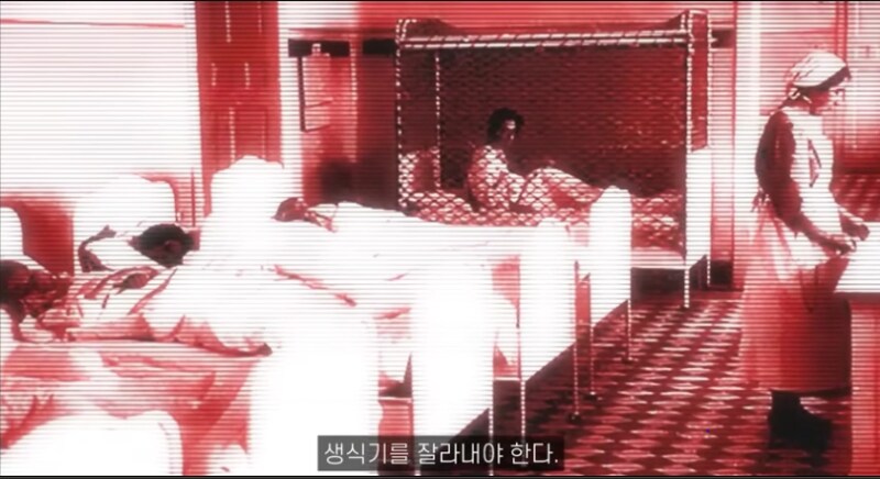 히틀러가 권력을 잡기 10년전에 쓴 책 내용_17.png