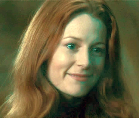 해리포터) 딱총나무 지팡이 시점에서 보는 최종전_21.webp