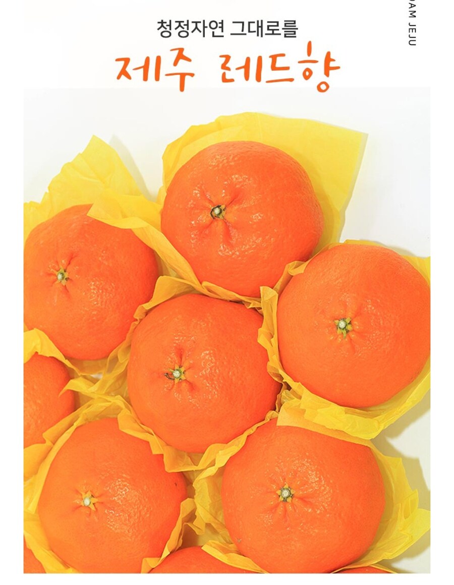 [네이버] 제주 레드향 특가 22900원_2.jpg