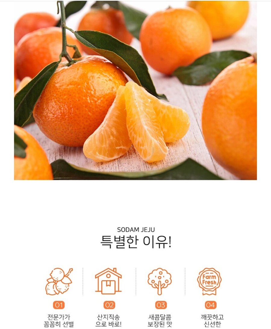 [네이버] 제주 레드향 특가 22900원_4.jpg