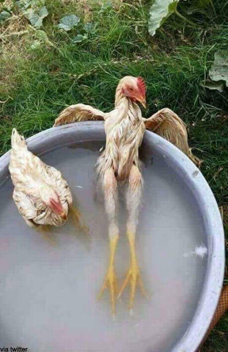 헐벗은 영계의 섹시한 각선미 ㅗㅜㅑ_2.jpg