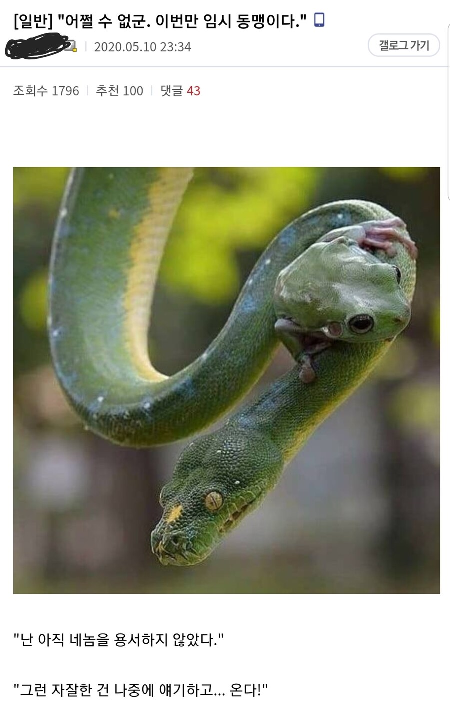 [데이터주의/스압]오싹오싹 택견 시리즈 - 제 1회 택견 경기와 실종된 활갯짓 -_14.jpg