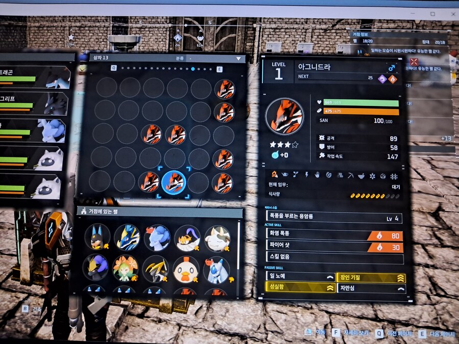 아그니드라 준종결_1.jpg