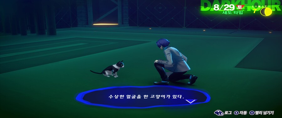 조그마"냥"한 손님_3.jpg
