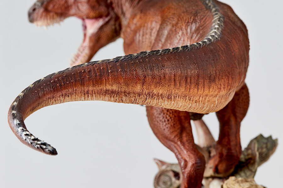 [카이요도] Nature Tales 공룡왕_5.jpg