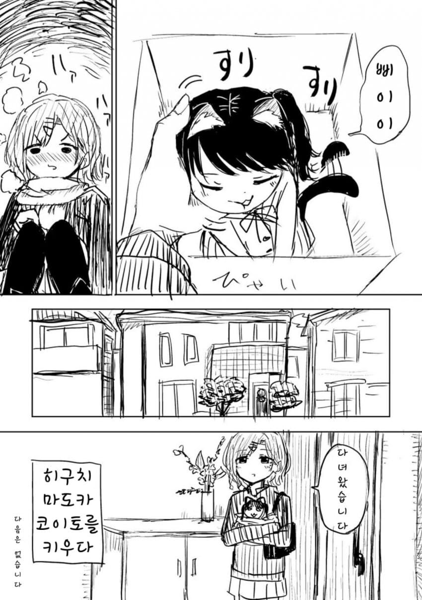 @) 고양이 코이토를 주운 마도카 만화_4.jpg