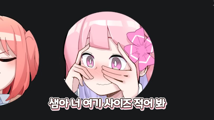 인방) 가슴 크기 때문에 오해를 받는 스트리머_2.png