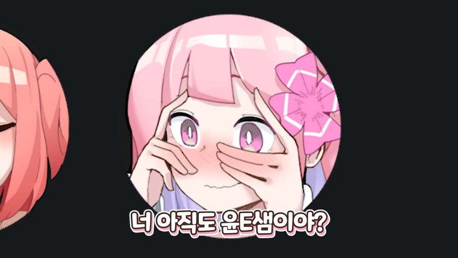 인방) 가슴 크기 때문에 오해를 받는 스트리머_3.png