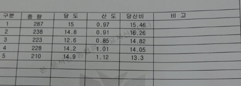 [네이버]고당도 한라봉 16,900_1.png