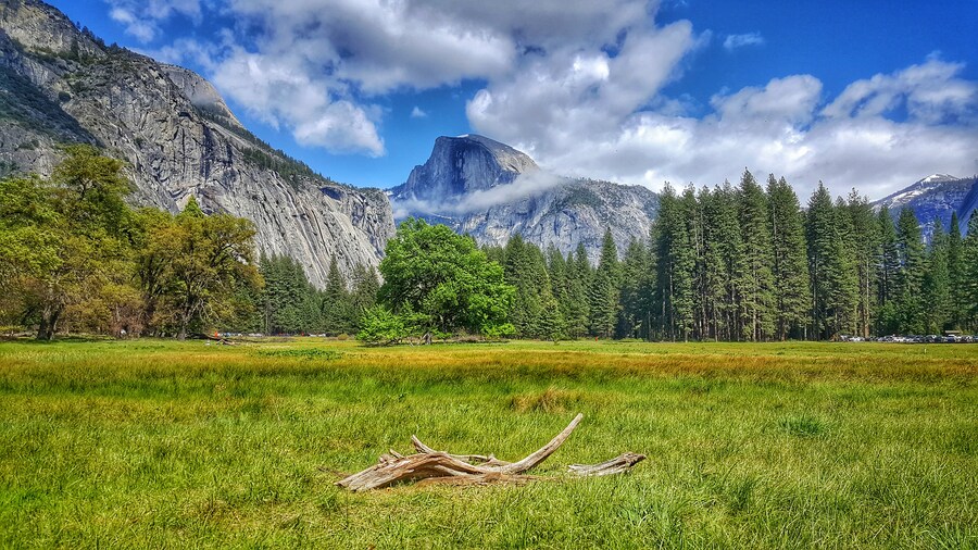 자작 사진전 물타기 동참해도 되나용?_9.jpg