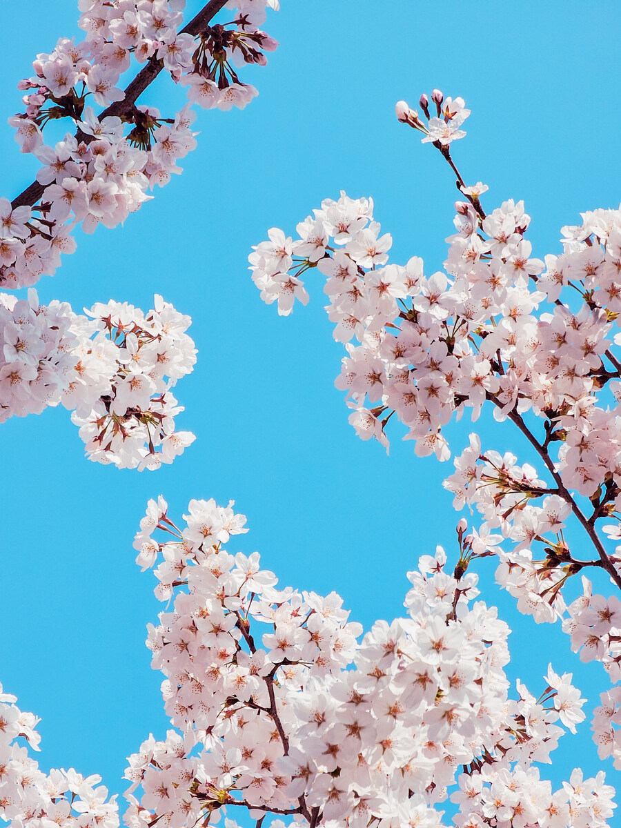 유게사진전 (2023년, 사계절)_2.jpg