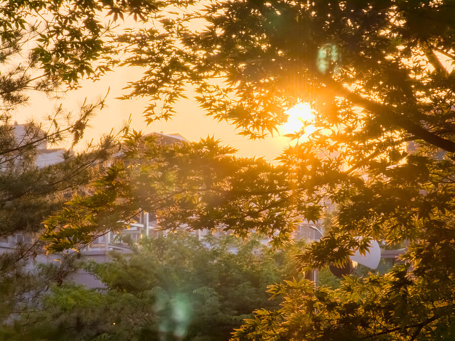 유게사진전 (2023년, 사계절)_5.jpg