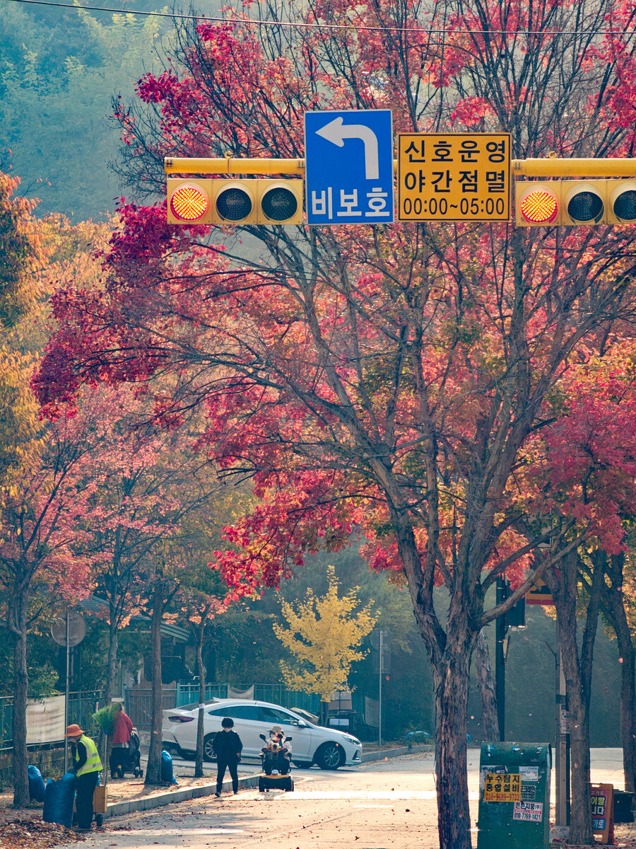 유게사진전 (2023년, 사계절)_6.jpg